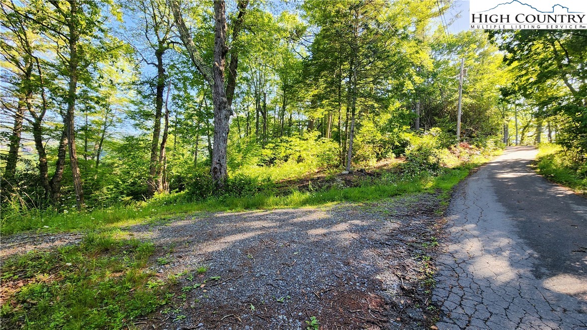 Lot 1 Hemlock Place
