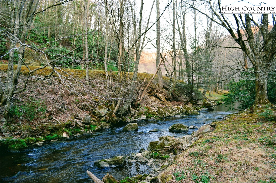 Lot 101 Beaver Lodge Trail