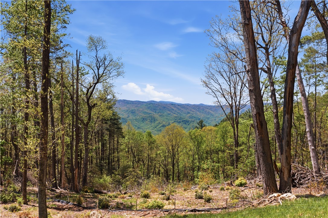 Lot 102 Angelfire Trail