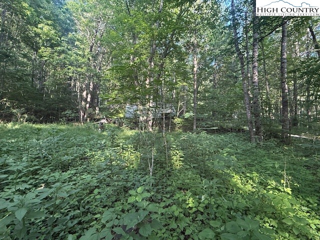 Lot 11 Billy Bob Lane