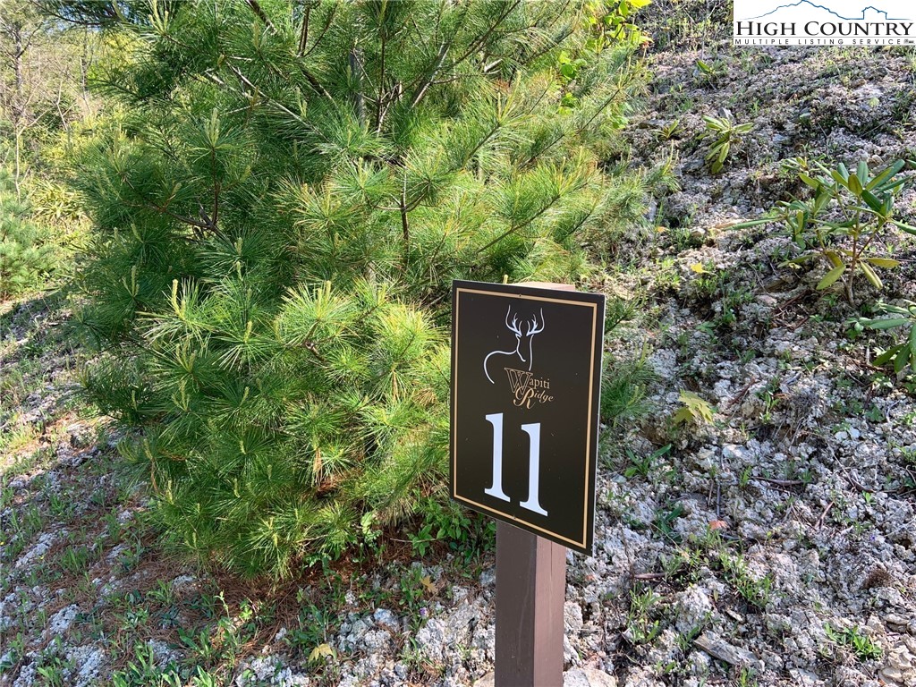 Lot 11 Wapiti Way