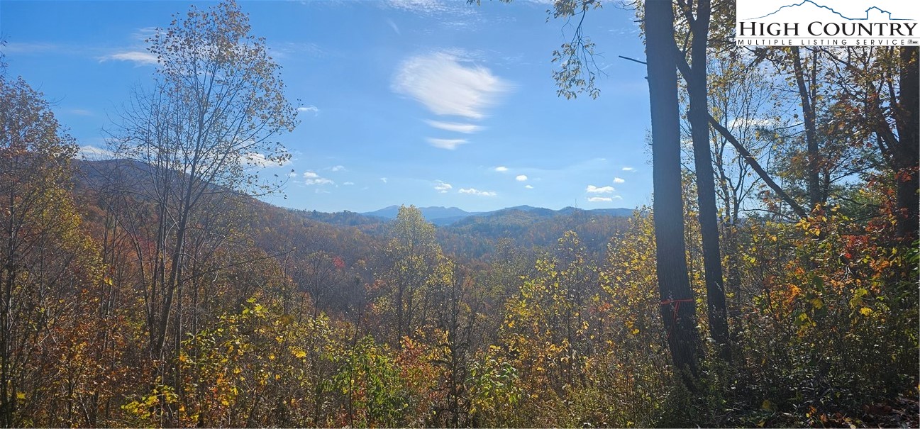 Lot 110 Settlers Knob Road