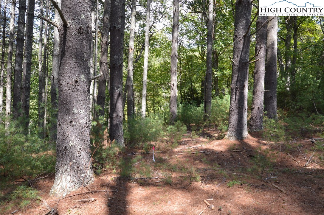 Lot #12 Enchanted Forrest Drive