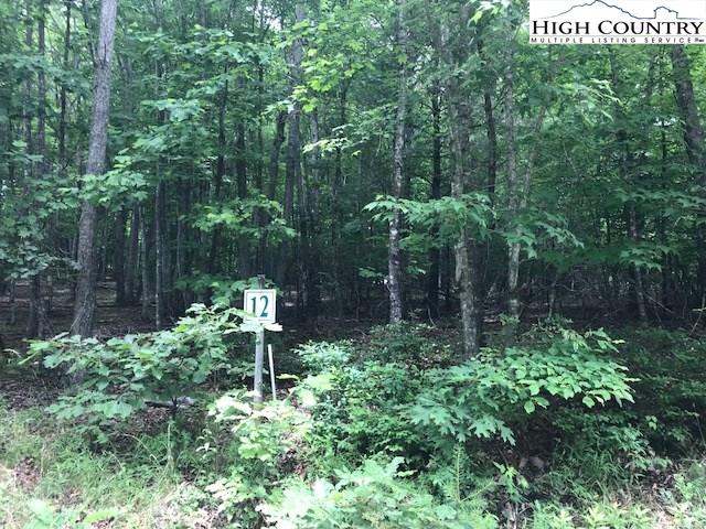 Lot 12 Toms Knob Road