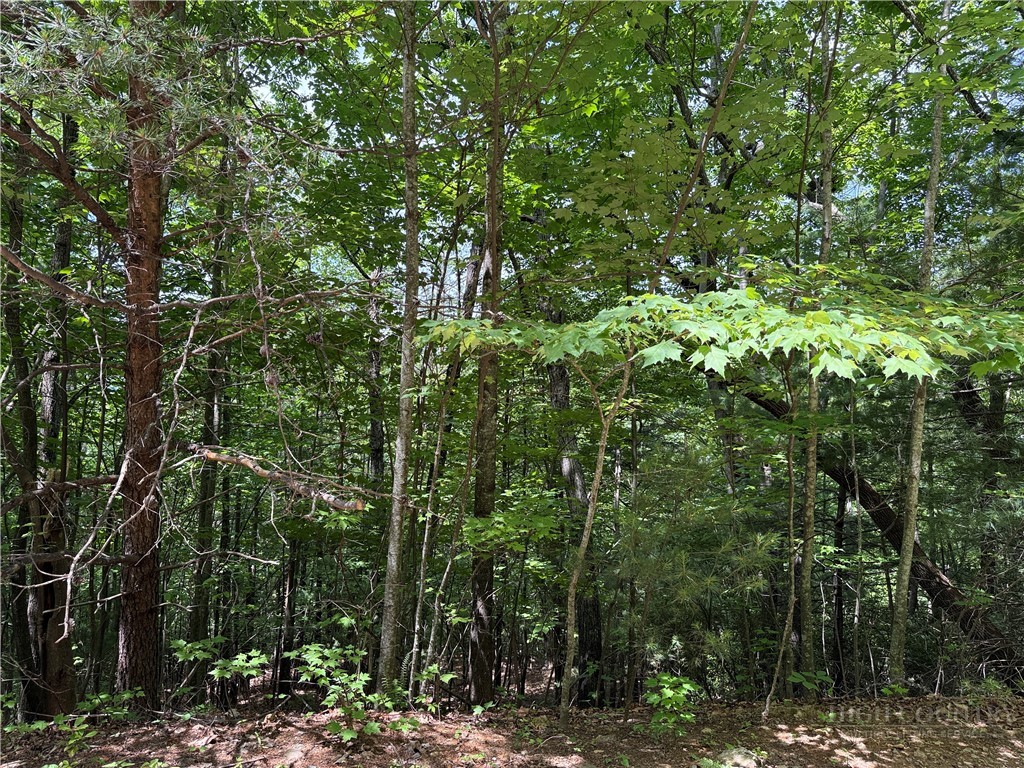Lot 132A Warren Way Road