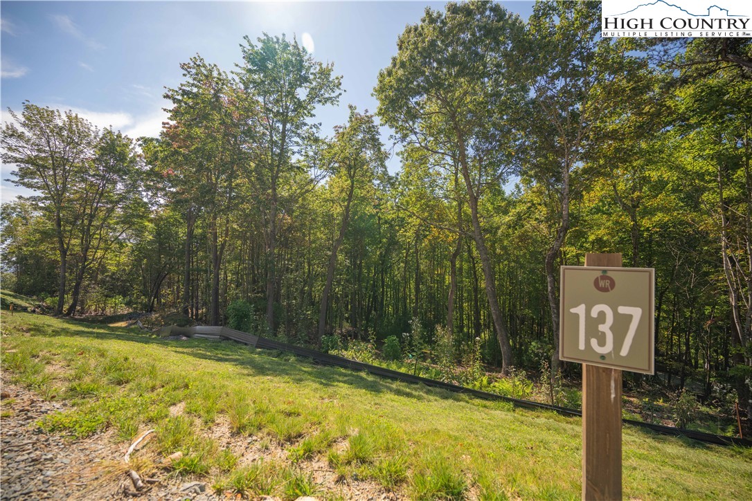Lot 137 Angelfire Trail