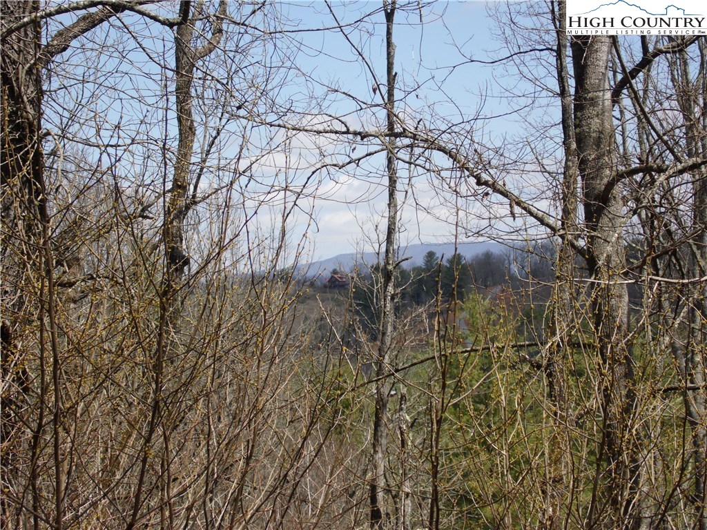 Lot #13A River Forest Road