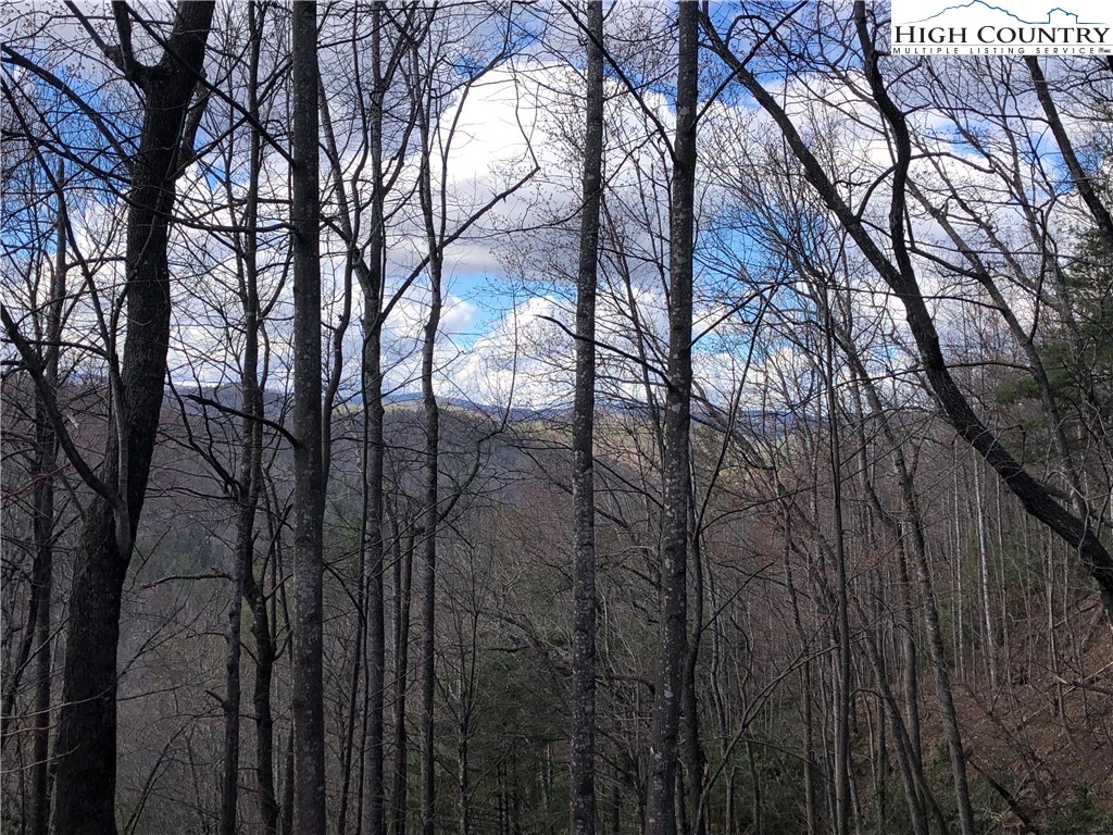 Lot 141B Hickory Hollow Road