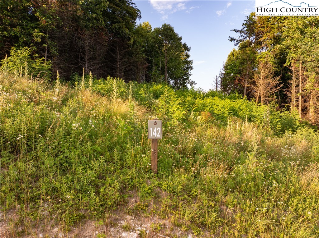 Lot-142 Angelfire Trail