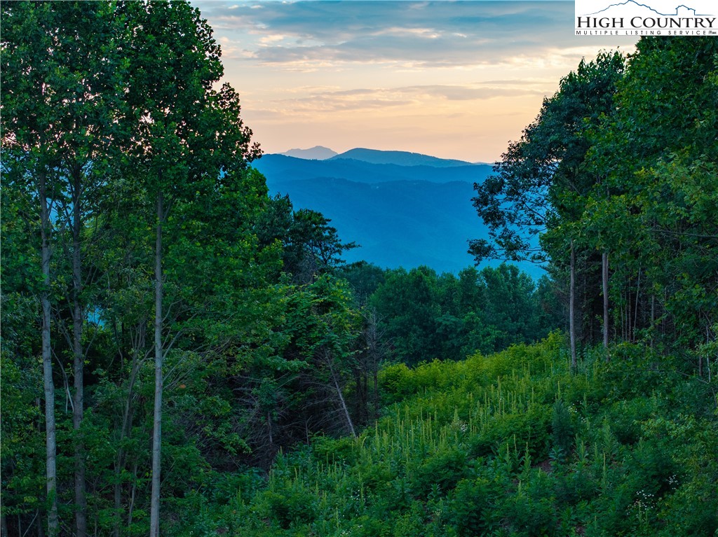 Lot-142 Angelfire Trail