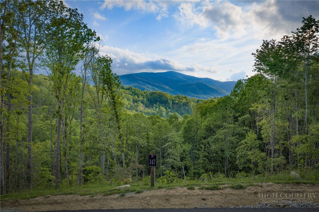 Lot 147 Old Forge Trail