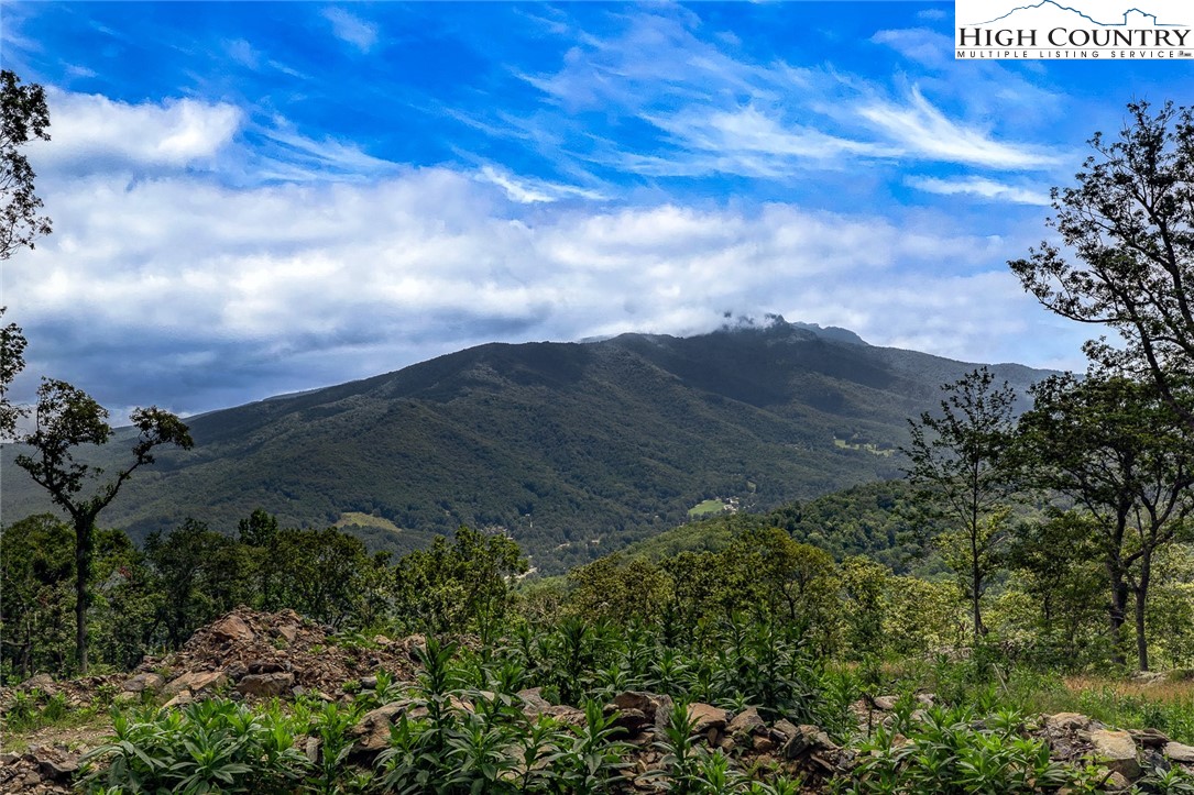 Lot 15 Alpine Drive