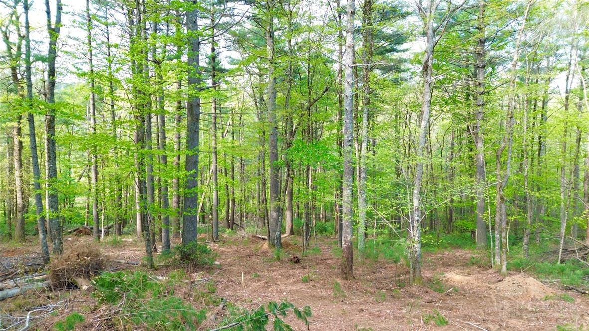 Lot 15 Walden Lane