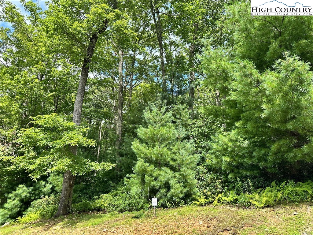 Lot  16 Sunset Ridge Drive