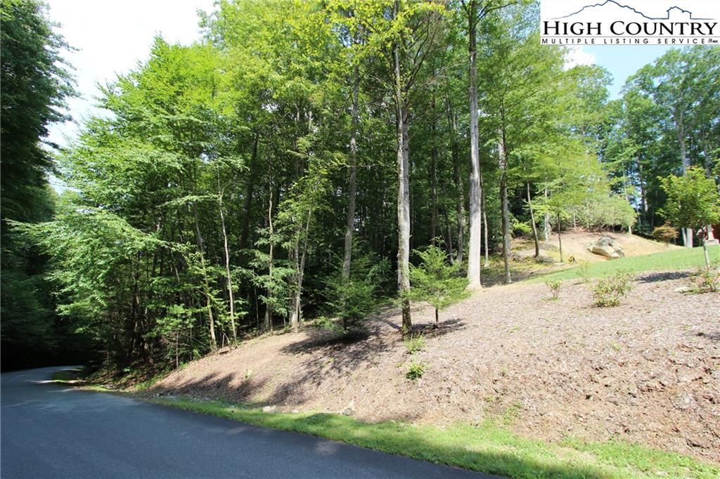 MLS 224487 Lot 16 Twin Rivers Drive, Boone, NC 28607