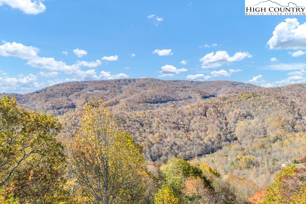 Lot 17 Poplar Forest Drive