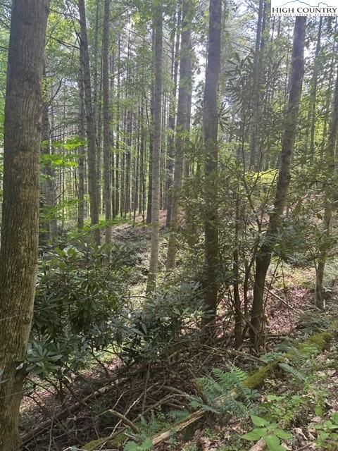 Lot 17 Sunny Lane