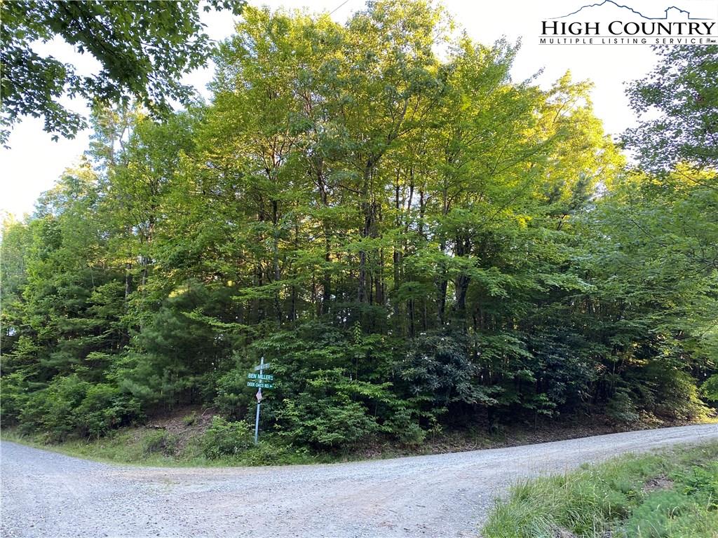 MLS 223361 Lot 19 Eagles Nest Drive, Deep Gap, NC 28616