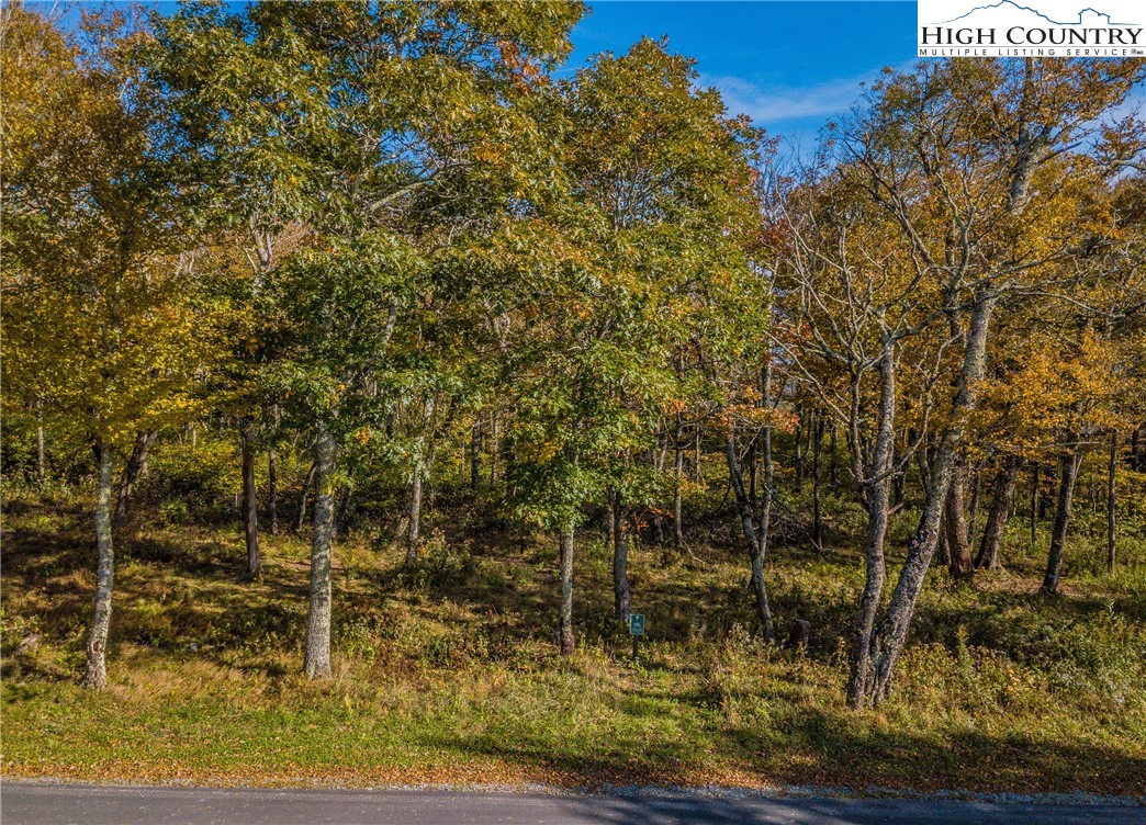 Lot 196 Green Cliffs Road