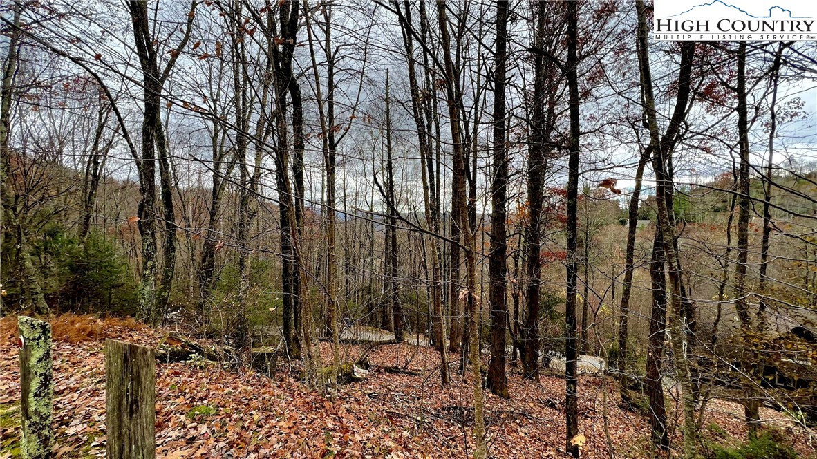Lot 2 Devils Lake Drive