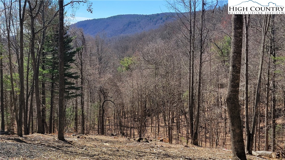 Lot 2 Phillips Gap Road