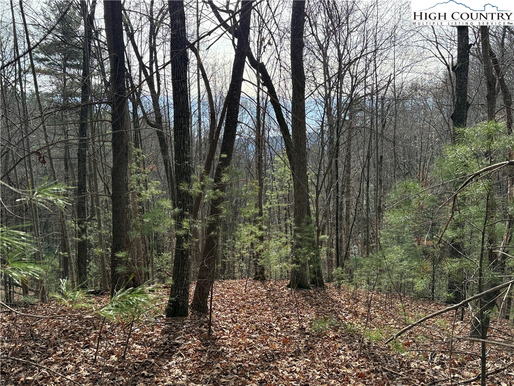 Lot 21 Buck Mountain Road