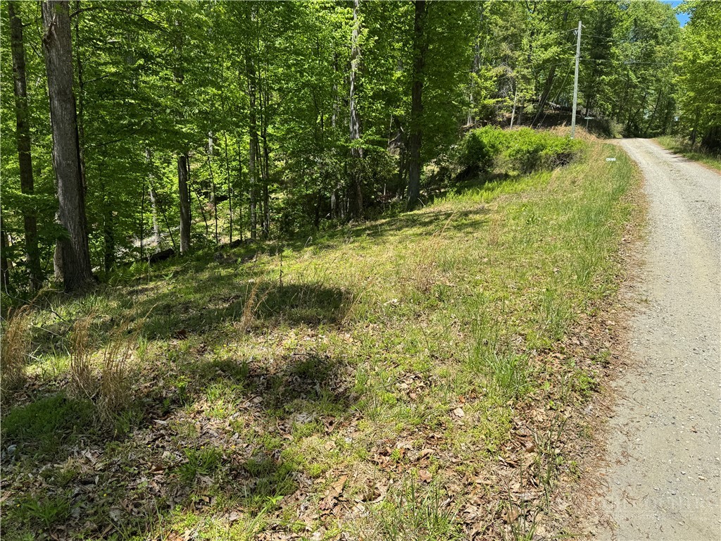 Lot 21 Happy Berry Drive