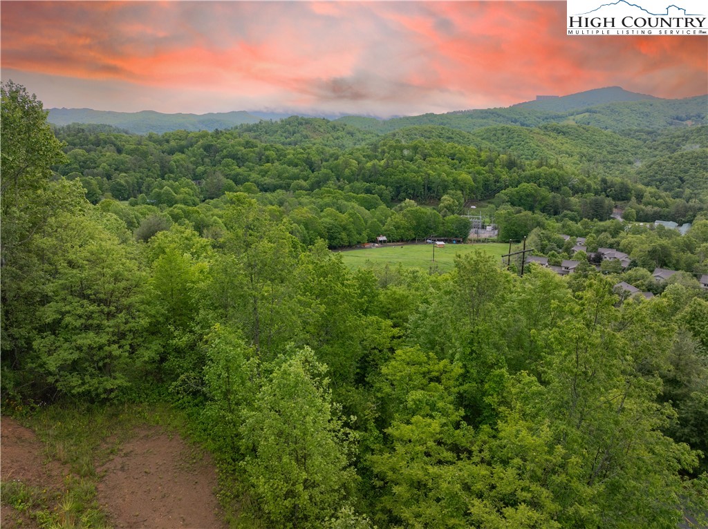 LOT 21 Silver Springs Drive