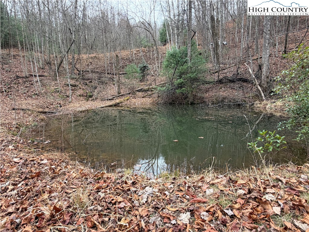 Lot 218 Casey Mountain Road