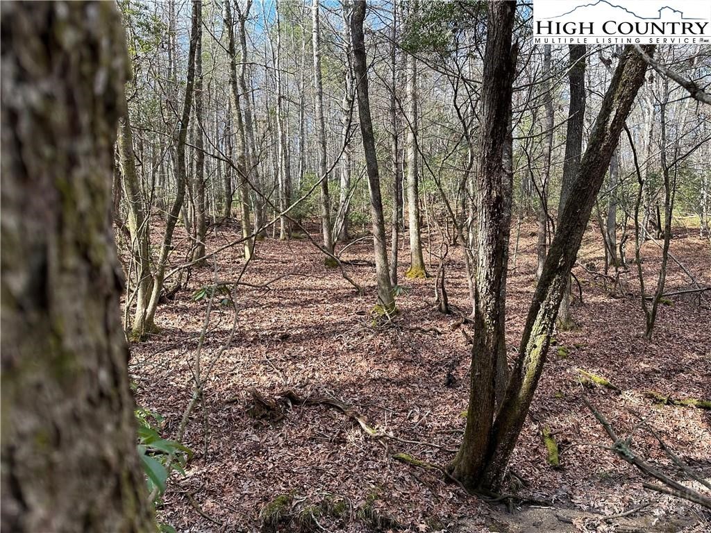 Lot 23 Holly Run