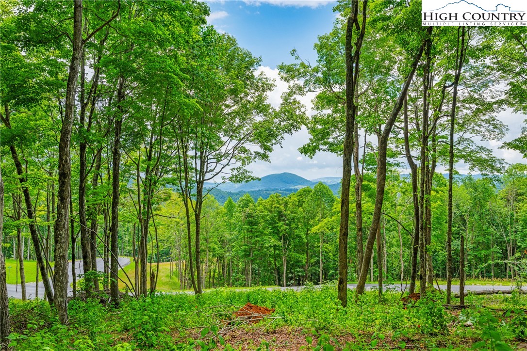 Lot 24 Poplar Forest Drive