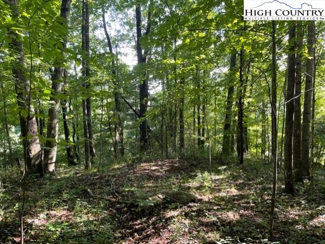 Lot #24 TBD Wind Dancer Ridge Road