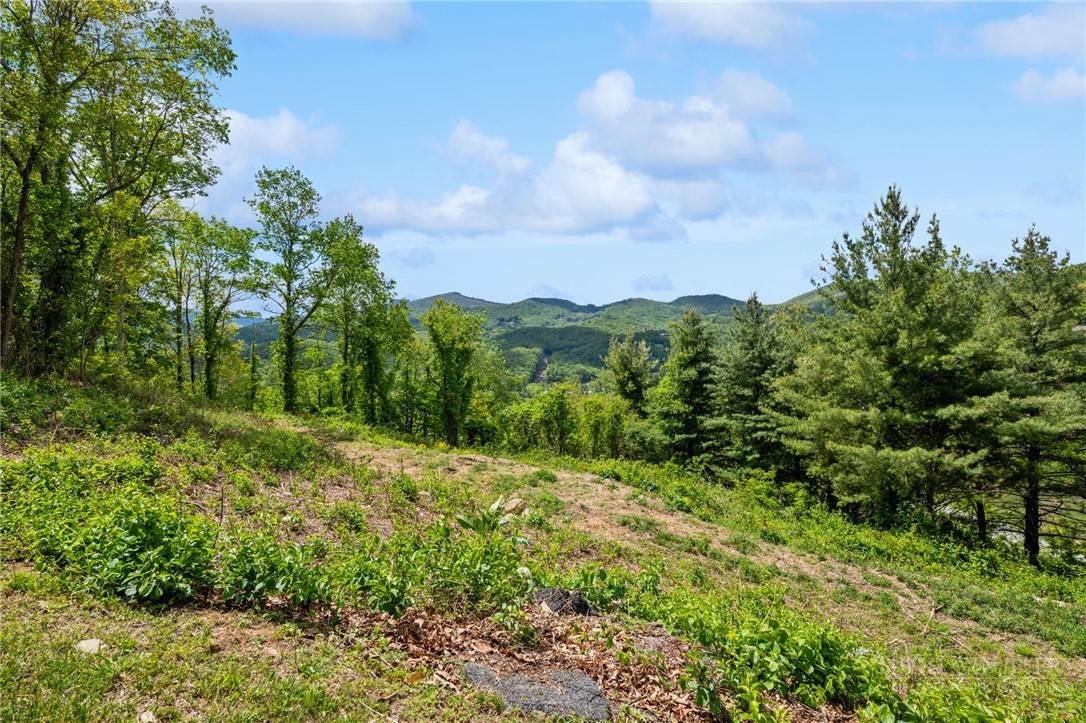 Lot 26 Silver Fox Lane