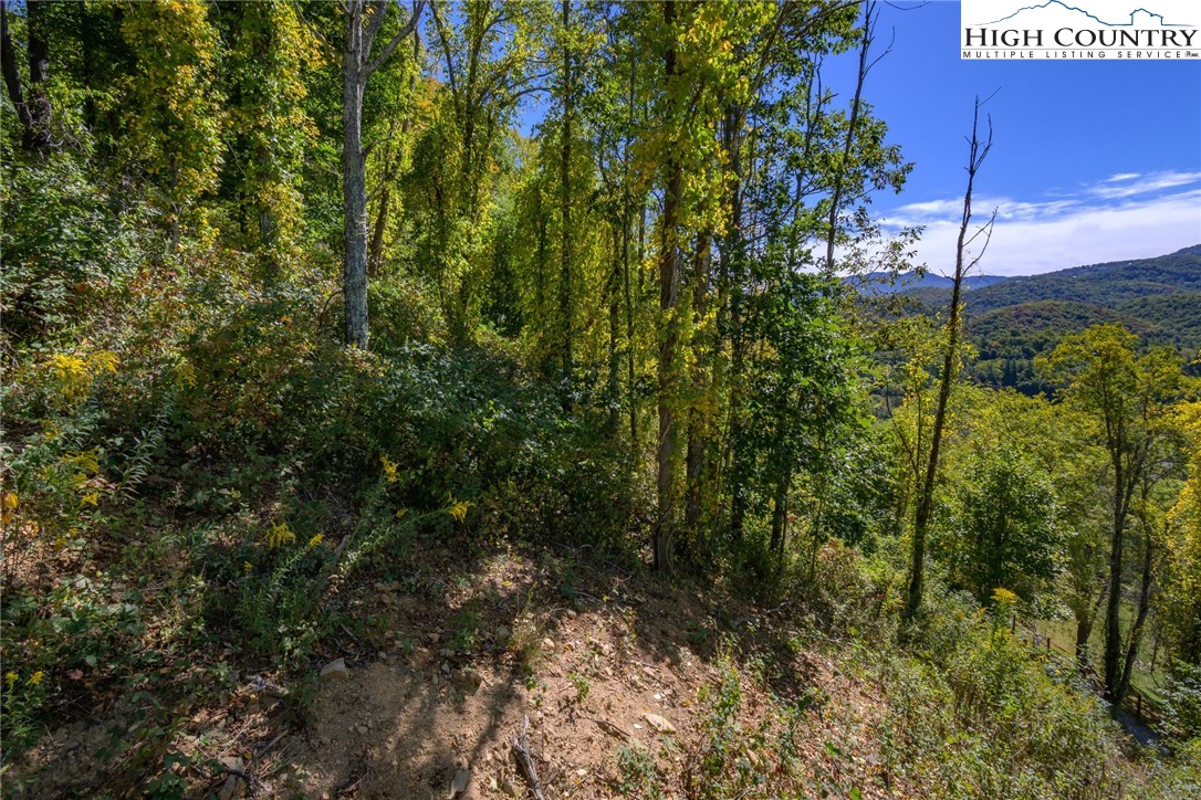 Lot 27 Silver Fox Lane