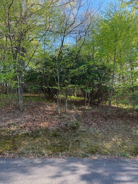 Lot #29 Isabel Way