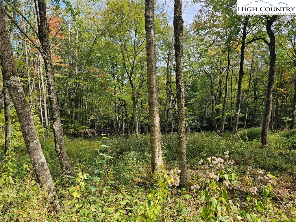 Lot 29 Lee Gualtney Road