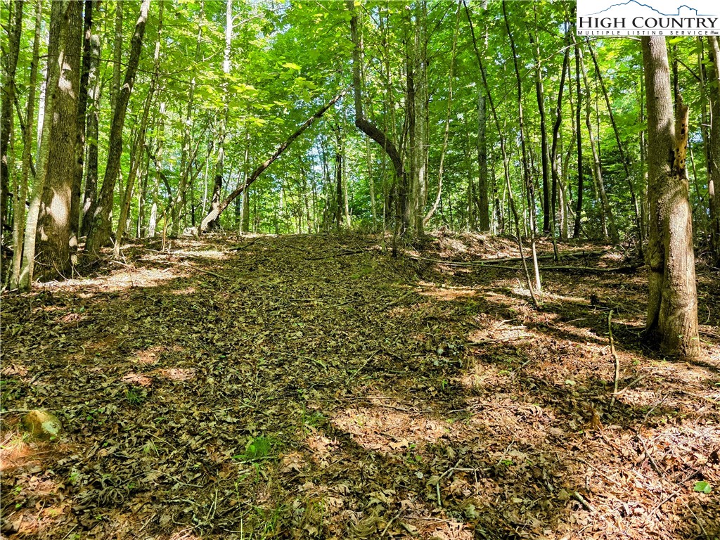 Lot 2B Brightwood Trail