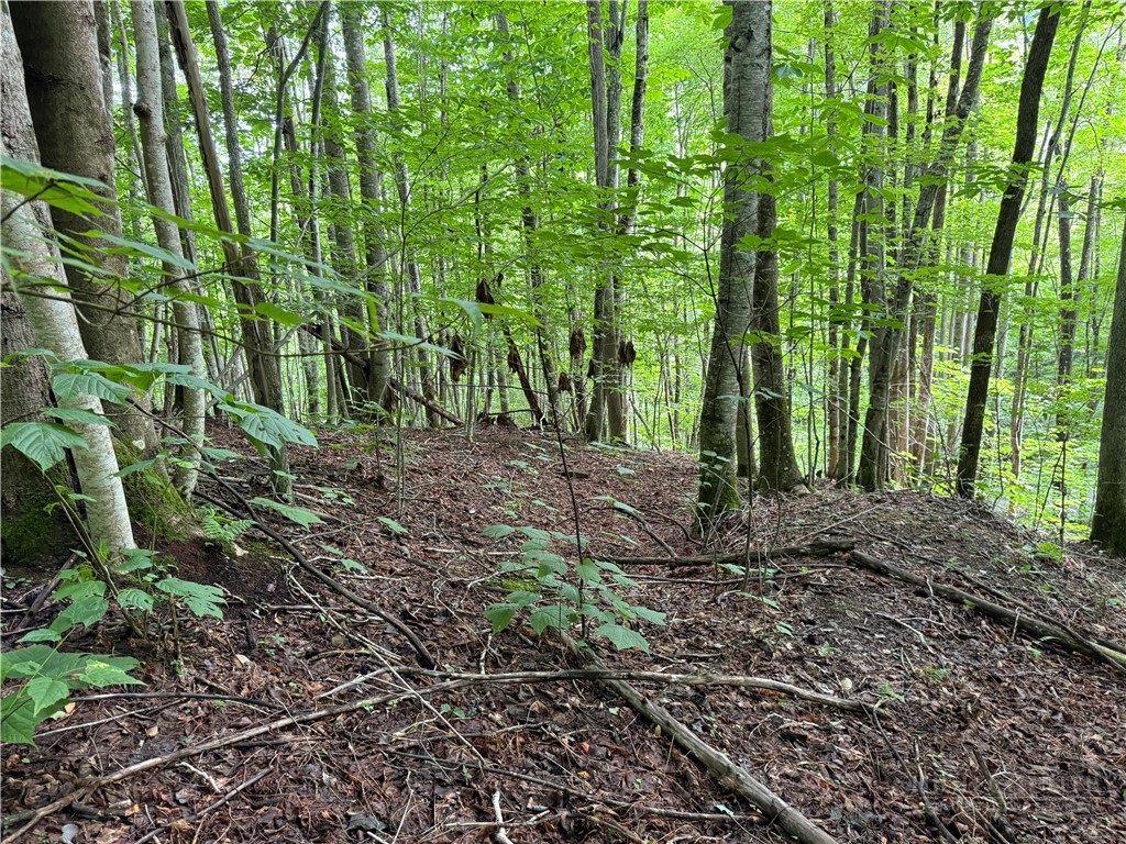 Lot 3 Buckeye Ridge Road