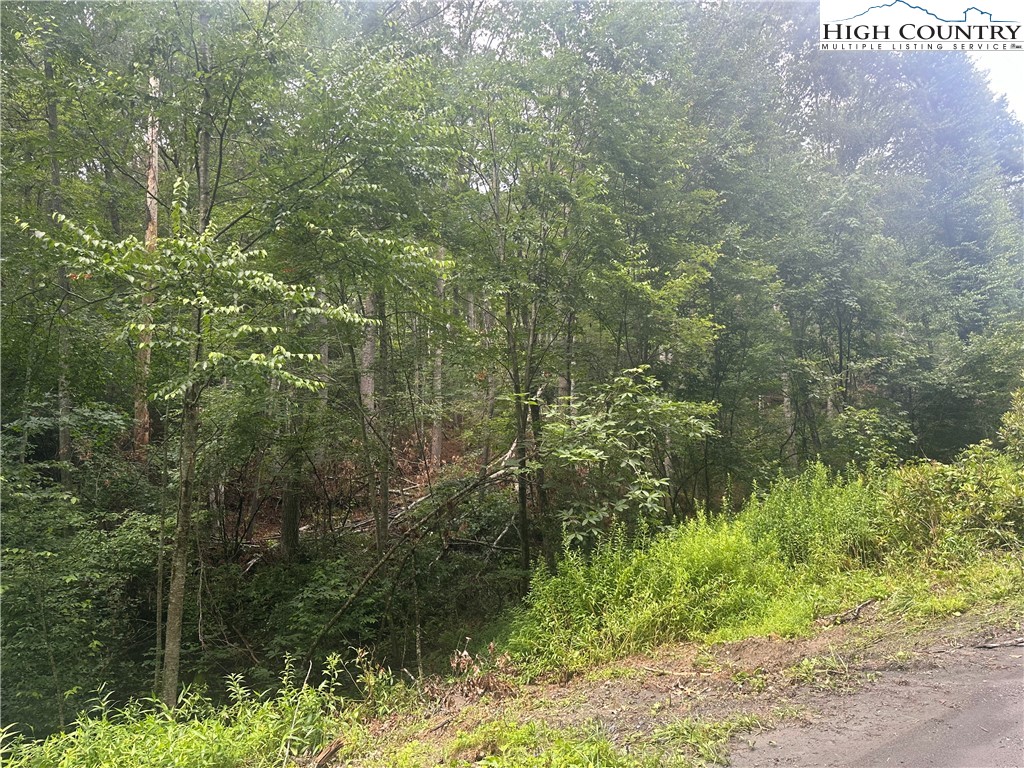 Lot 3 Cedar Cove Lane