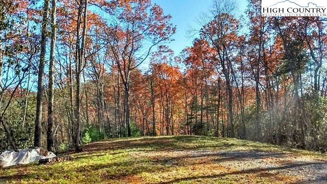 Lot 3 Hidden Forest Trail