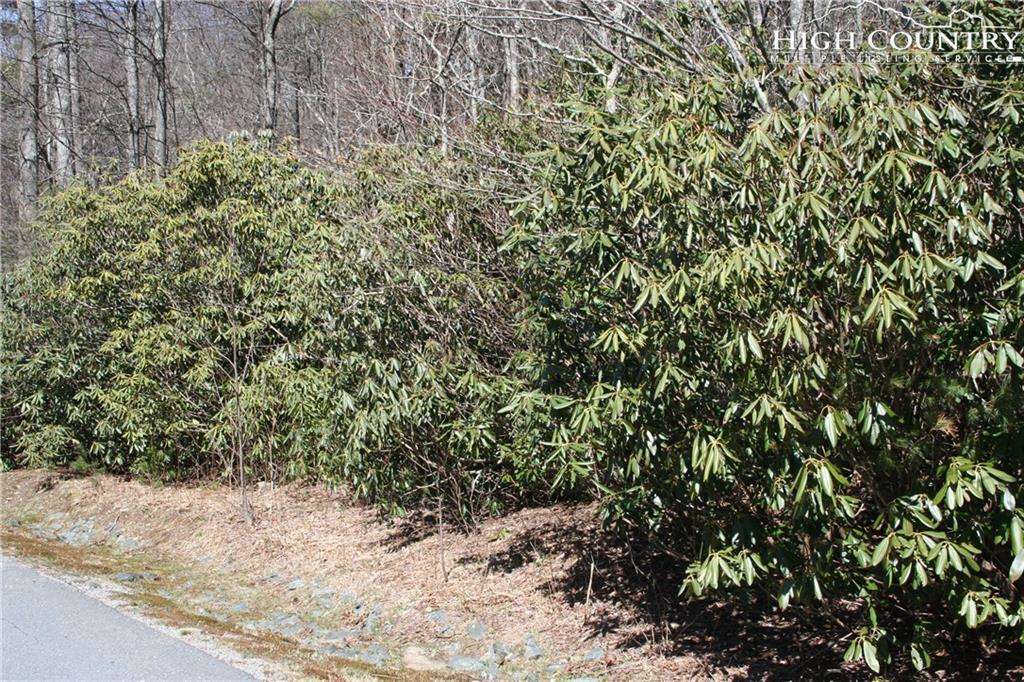 MLS 216284 Lot 3 Morningstar, Blowing Rock, NC 28605