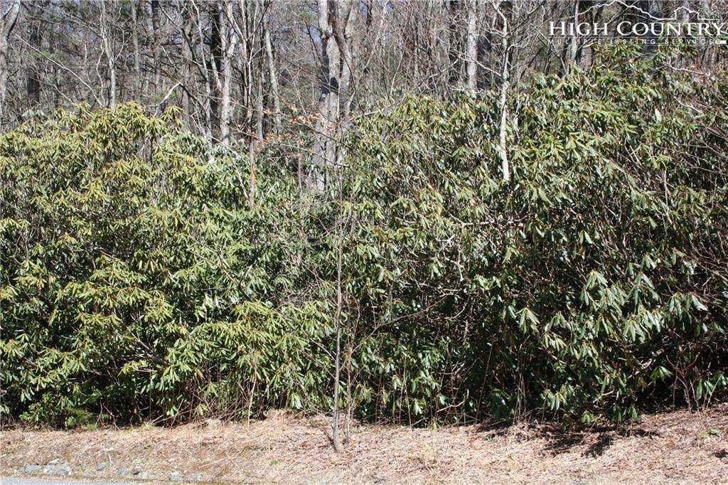 MLS 216284 Lot 3 Morningstar, Blowing Rock, NC 28605