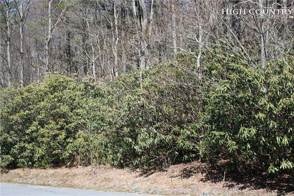 MLS 216284 Lot 3 Morningstar, Blowing Rock, NC 28605
