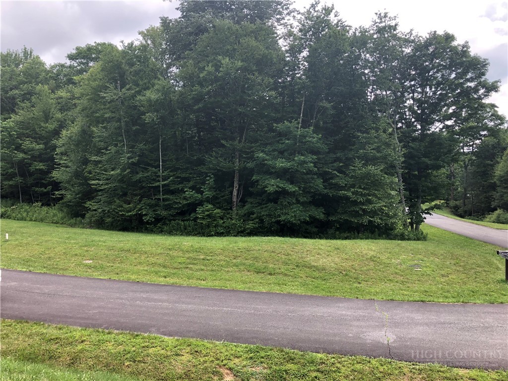 Lot #3 Trillium Lane