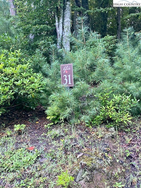 Lot 31 Thoreau Court