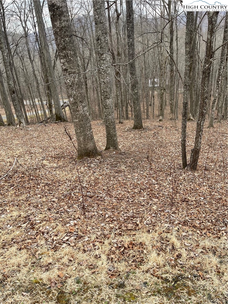 Lot #33 Elk Mountain Parkway
