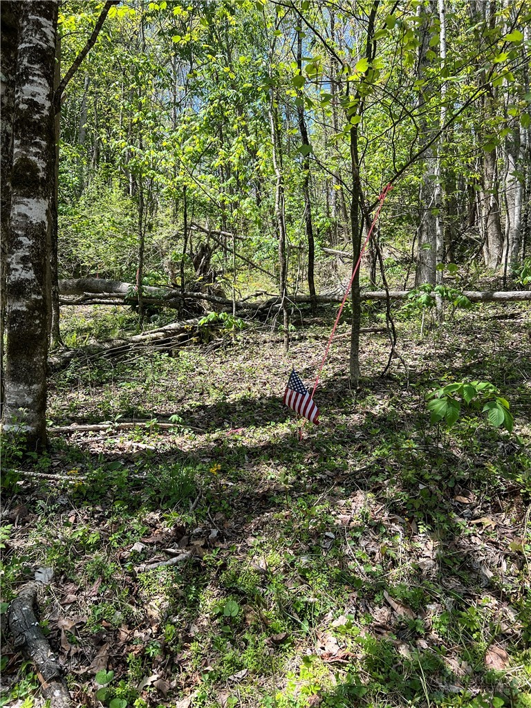 Lot# 34 Buckeye Creek Road