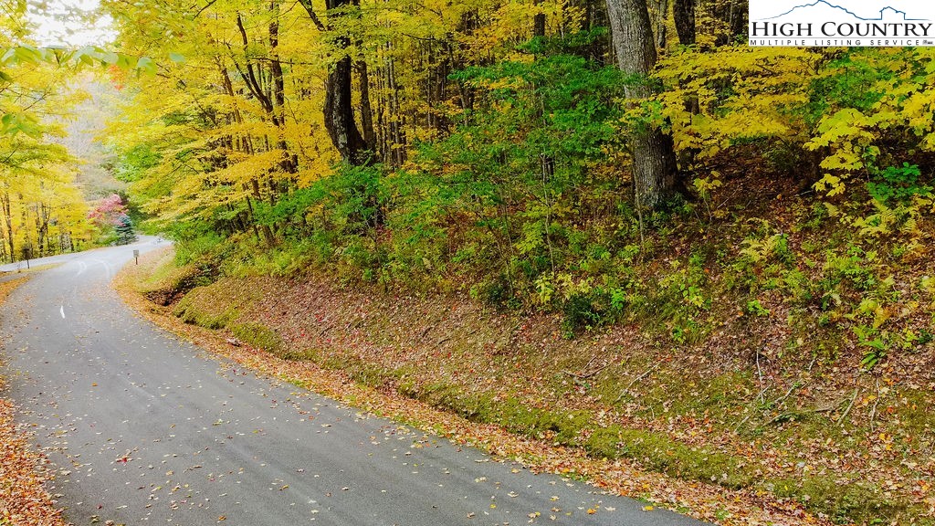 Lot 35 Tynecastle Drive