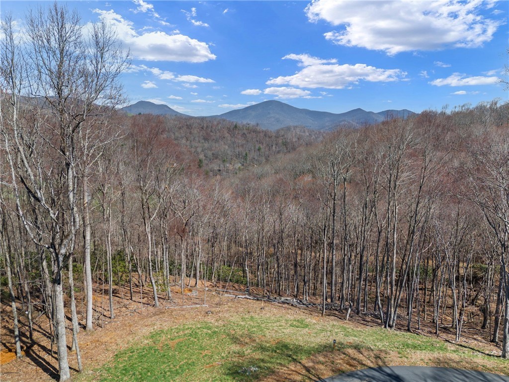 Lot 36 Poplar Forest Drive