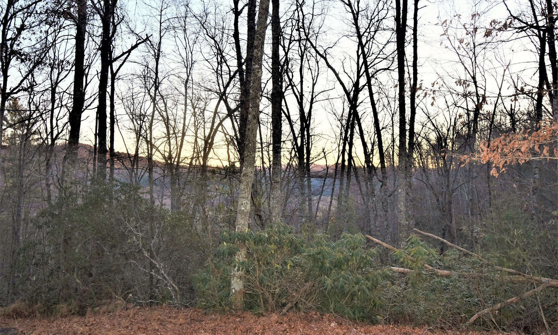 Lot 36 is a beautifully wooded 1.14 acre home site with level to gently sloping terrain.